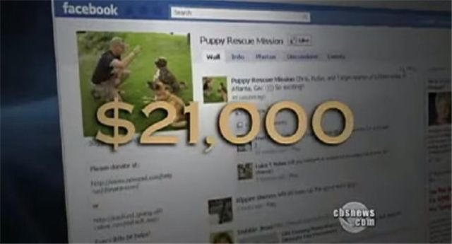 流浪狗牺牲自己和人体炸弹搏斗,终换得49名士