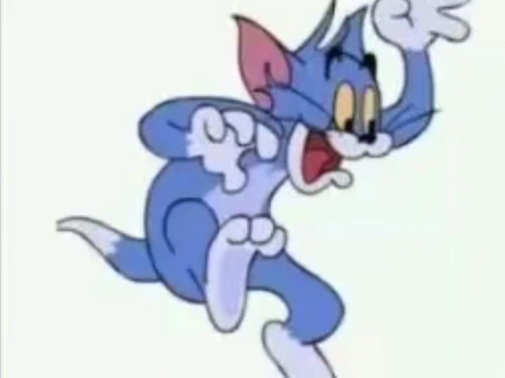 猫和老鼠:汤姆猫十年的十一种形象,谁还记得这只黑色汤姆?