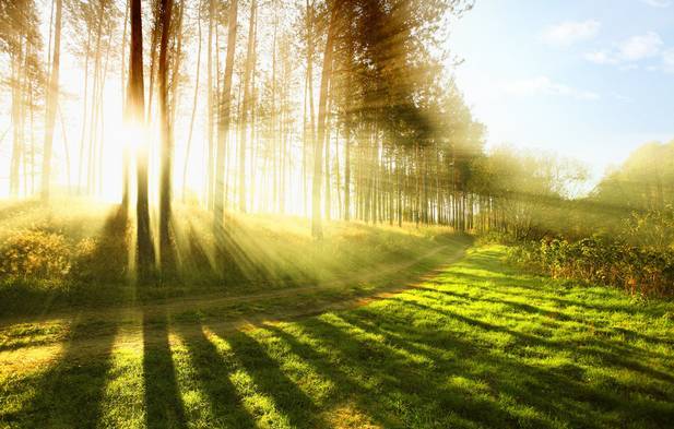 【健康】清晨4个要,晚上5不要!