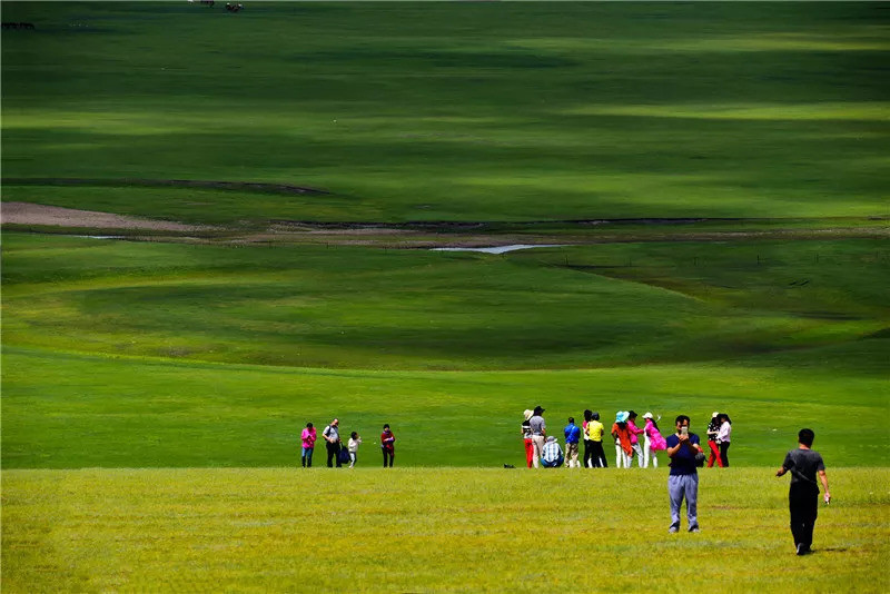 最广袤的颜色是什么?当然是这片绿色!