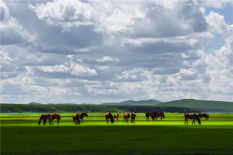 最广袤的颜色是什么?当然是这片绿色!