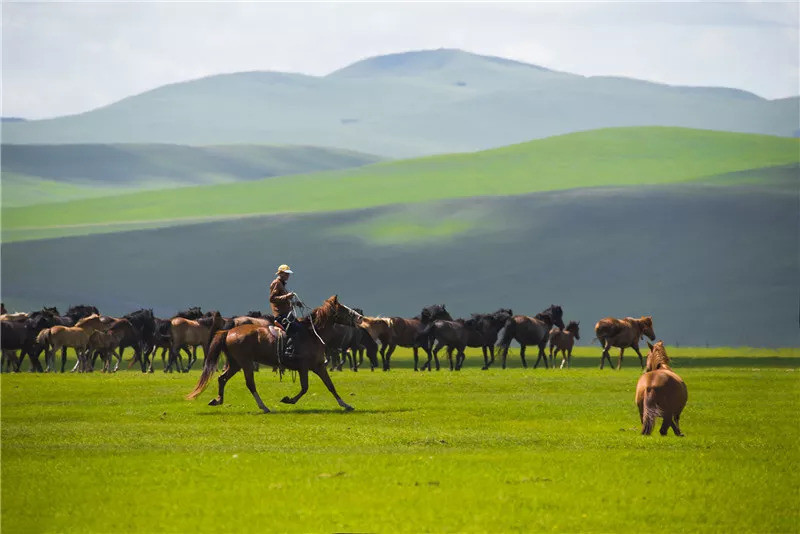 最广袤的颜色是什么?当然是这片绿色!