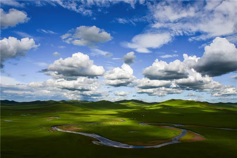 最广袤的颜色是什么?当然是这片绿色!