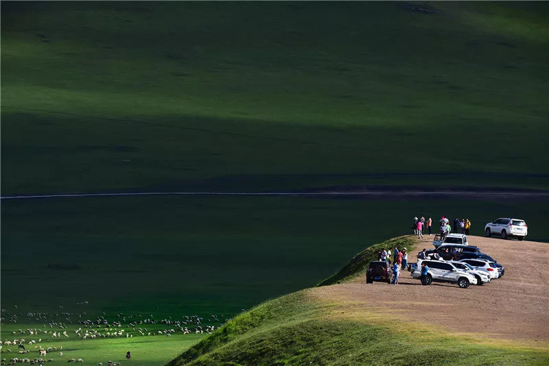 最广袤的颜色是什么?当然是这片绿色!