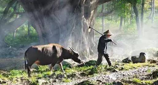 女儿上清华,儿子上北大,这位农民父亲教育孩子