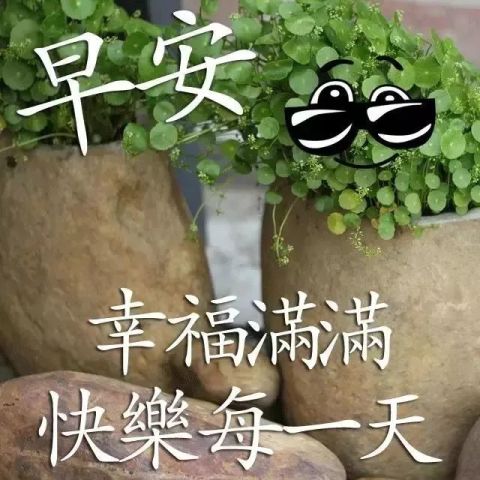 亲爱的早上好图片,动图表情早晨祝福句子