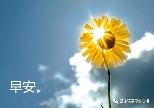早安心语正能量激励语 早上好正能量图片励志