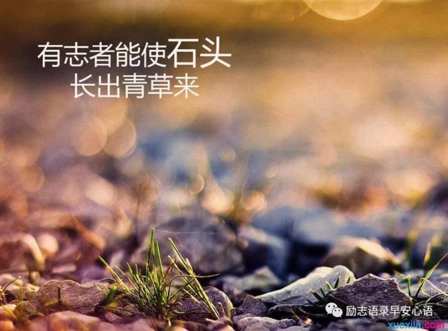 早安心语正能量激励语 早上好正能量图片励志