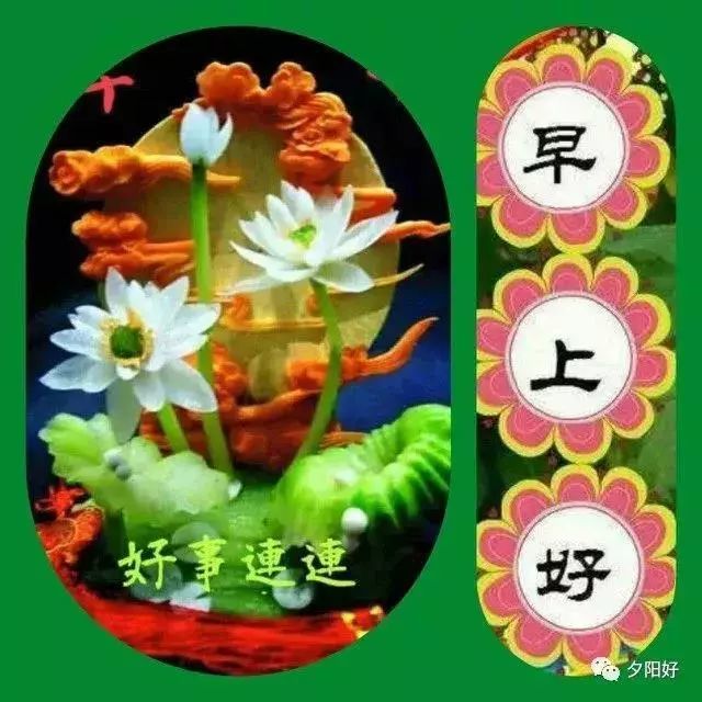 8张中老年带文字的早上好问候图片早上好天天好心情动态表情早安祝福