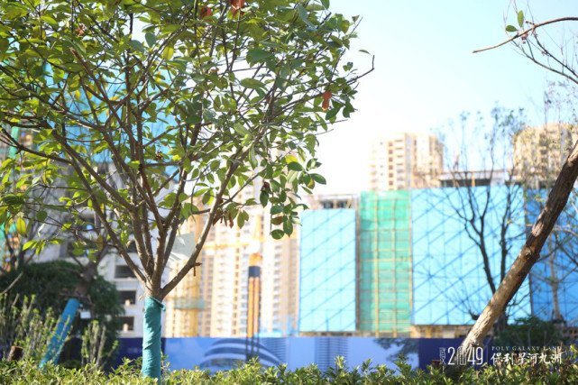 保利星河九洲首映丨武汉2049初现,鼎立城市未