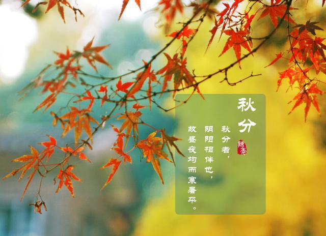 二十四节气之秋分印象色彩