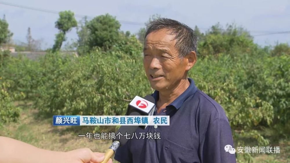 马鞍山市和县西埠镇 农民 颜兴旺 能干的有技术的,一年也能搞个七八万
