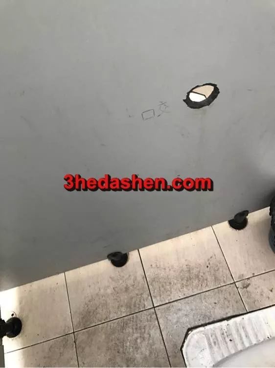 我无意中闯入了三和大神的秘密花园