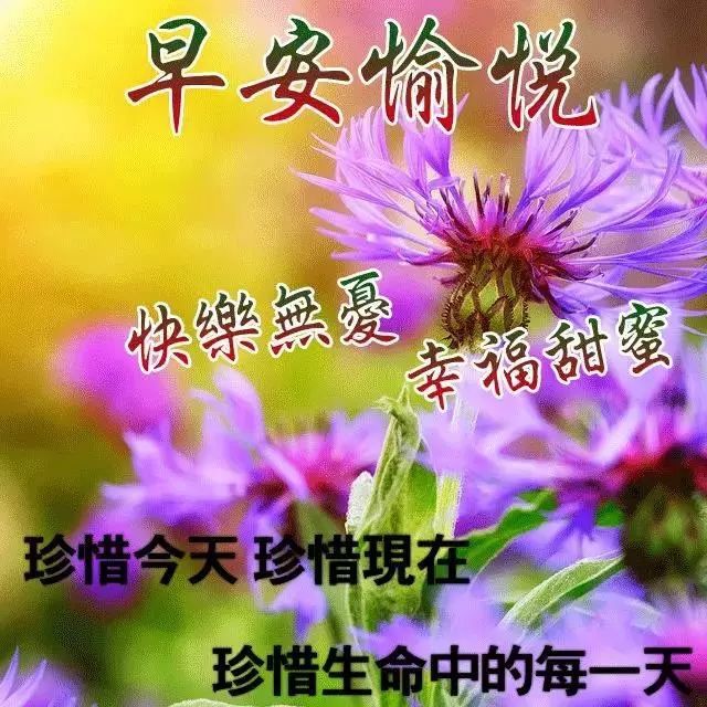 清晨阳光暖心的早上好祝福语动态表情图片