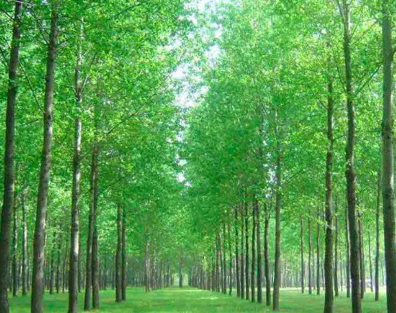 没有那么复杂,让孩子爱上读书,就要进行亲子阅