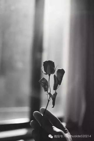 百毒不侵的内心,往往会被一句简单的安慰打败