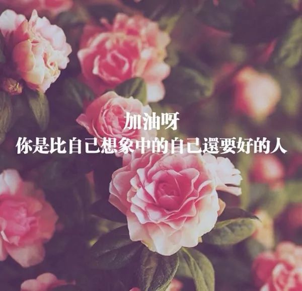 微信群发正能量早安励志句子 励志早安文字图片