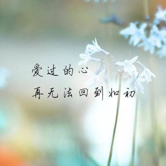 有一种深爱,叫彼此牵挂,却不敢纠缠