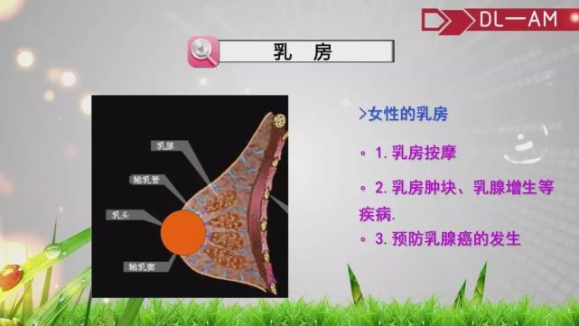 湘潭一商家卖减肥仪虚假宣传被查 主动注销营业执照