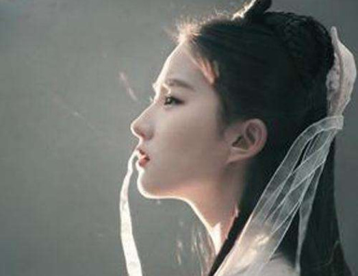 赵丽颖侧面照,刘涛侧面照、杨颖侧妙面照,但都