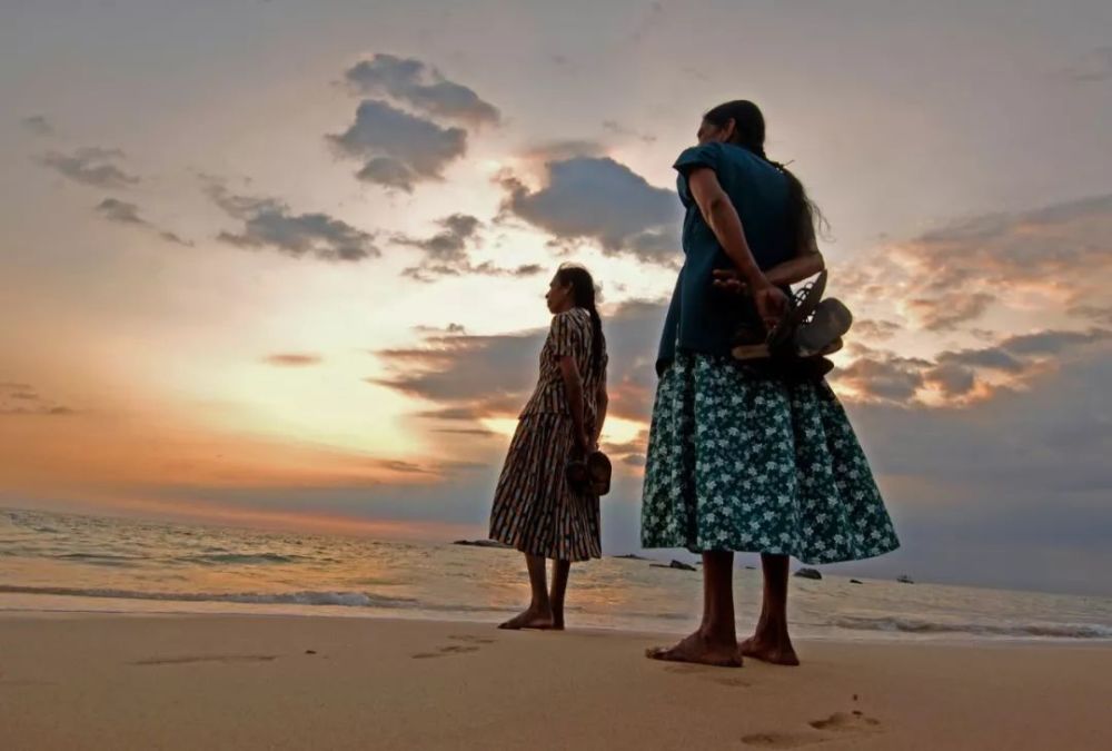 旅游纪实 和斯里兰卡人合伙开公司这样把风险