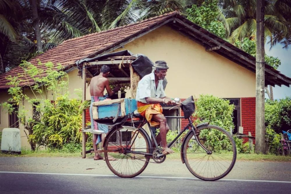 旅游纪实 和斯里兰卡人合伙开公司这样把风险