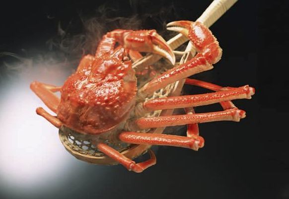 秋蟹肥美,宝宝能尝鲜吗?父母可以看看宝宝吃蟹