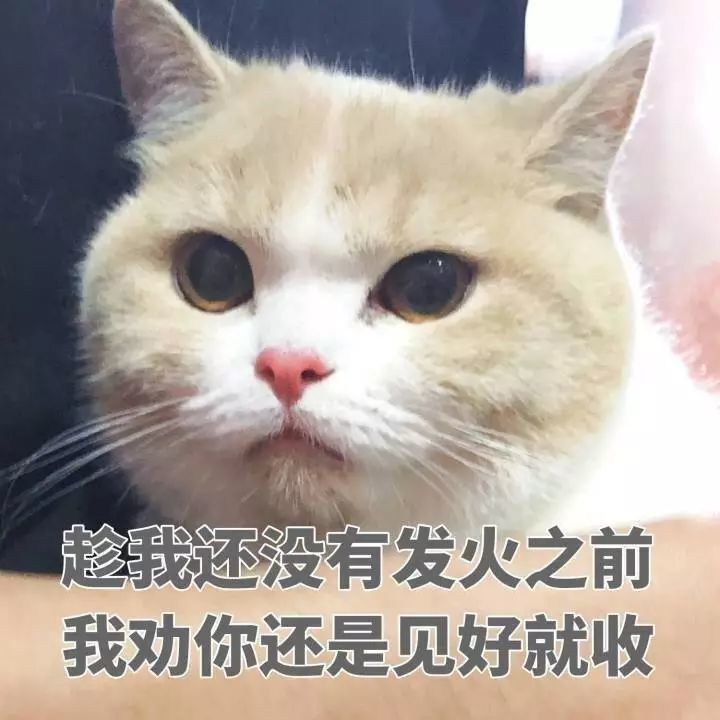 吵架和好的表情包