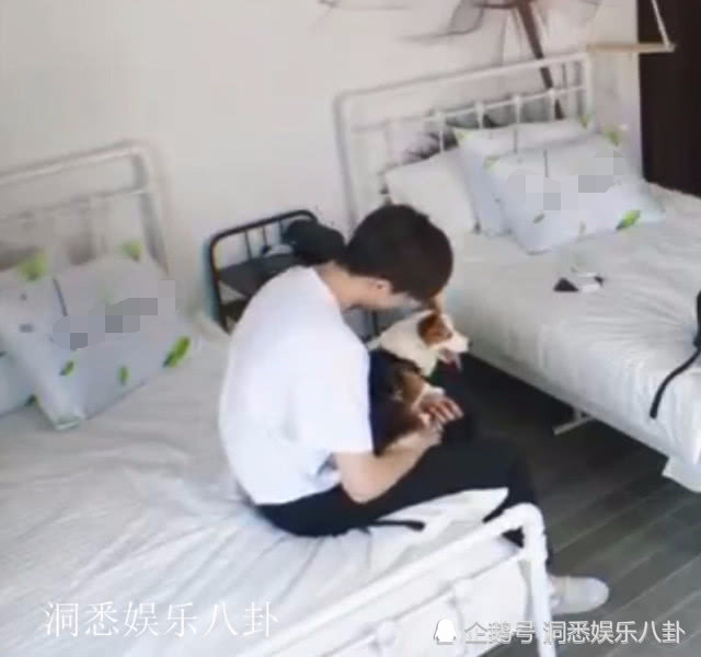 大厂孩子共同点:陈立农综艺节目被嫌弃周洁琼