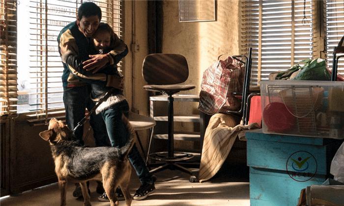 恐怖片《犬舍惊魂》,把胆小男人刻画得入木三