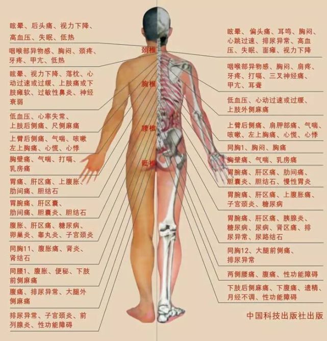 人体器官是由多种组织构成的能行使一(特)定功能的结构单位叫做器官.