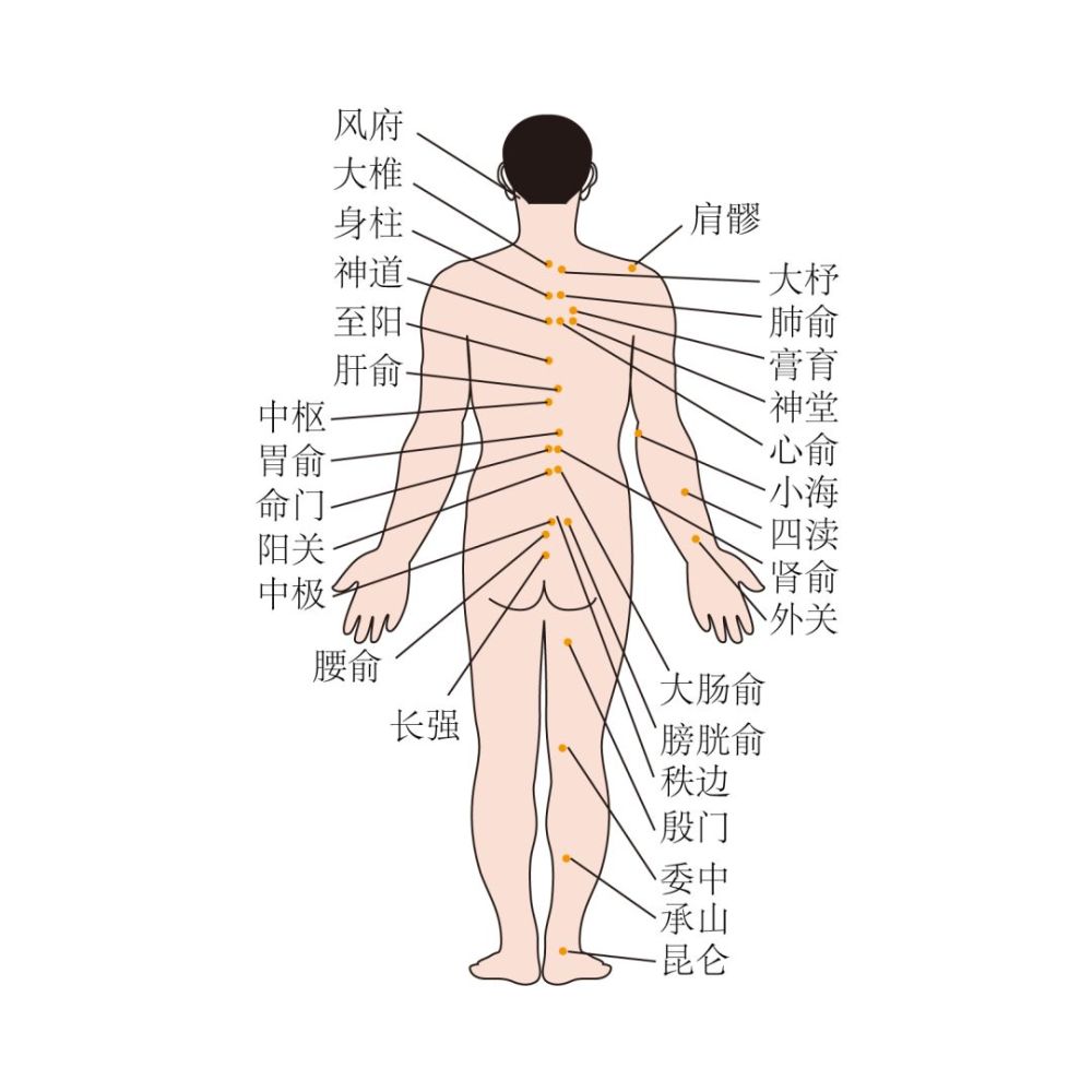 鱼尾纹怎么治疗（脸上鱼尾纹自己怎么治）