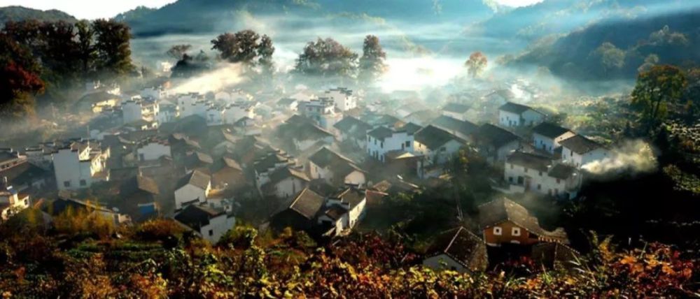 徐中强:一切都是最好的安排