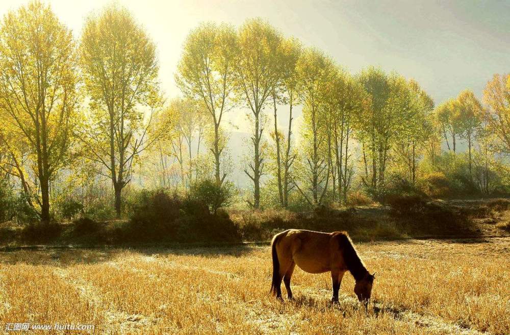 徐中强:一切都是最好的安排