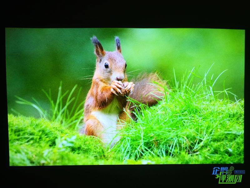 puppy cube交互式投影仪评测:投影黑科技,桌面