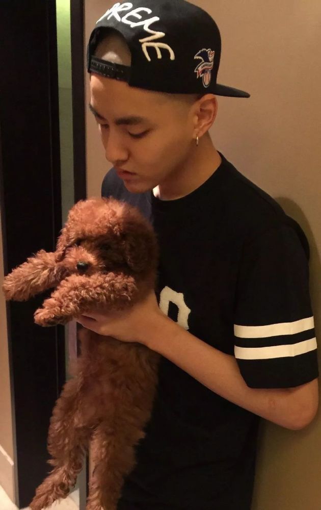 纯种犬的悲哀:你永远不知道我笑容背后的难过