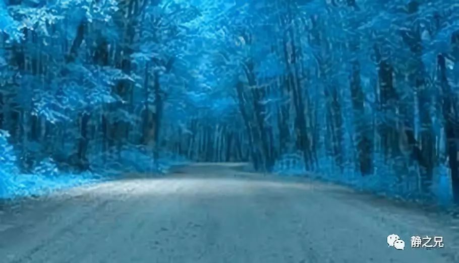 用不用王阳明,这是个头痛的问题