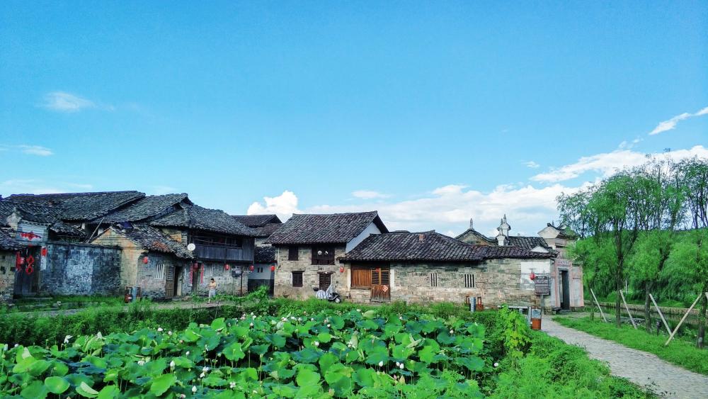 江西省抚州市广昌县驿前镇-莲花古镇偶遇小萝莉自在
