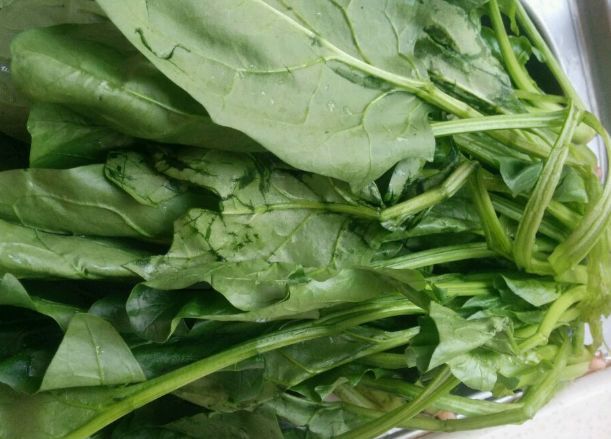 城里有钱也买不到的菜,农村遍地都是,营养比菠