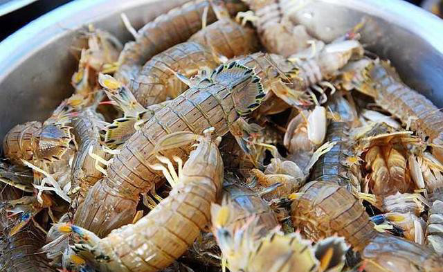 水产老板:买皮皮虾看这4处,如果挑错了,可能买