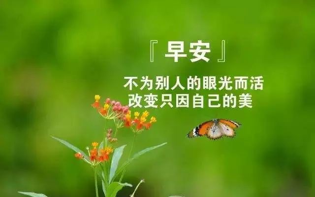 微信早安心语正能量语句,早晨激励人的经典好句