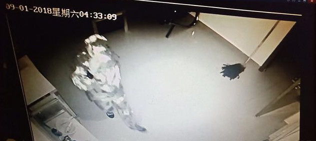 蒙面盗 专偷手机店 跨省作案多起后 栽 在汨罗_