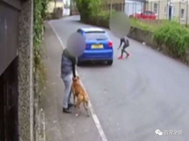 简直丧心病狂!英国两个小屁孩带狗杀猫弃尸,令人发指