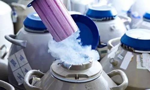 话题 | 单身女冻卵违法,老徐说:有一种生物叫