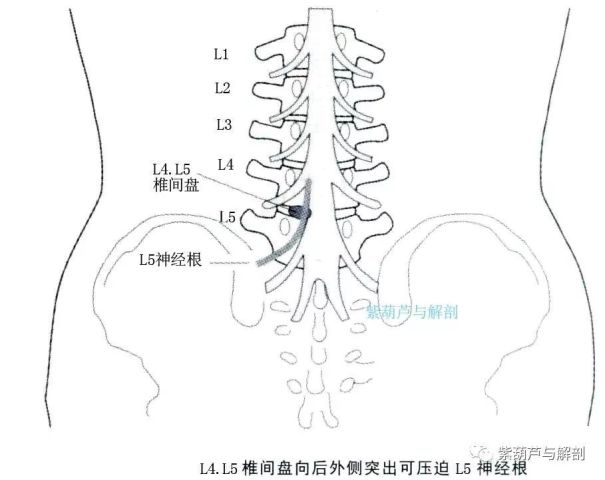 腰椎,骶髂关节特殊物理检查