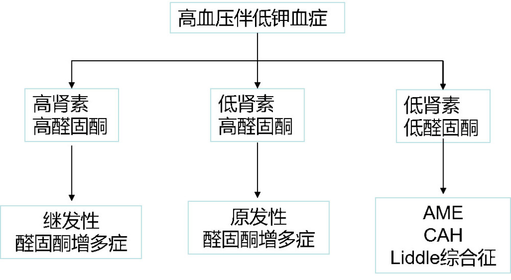 高血压低血钾原醛症别那么天真还有这些原因不能忘