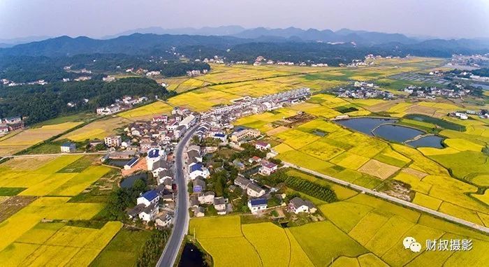 稻浪千重看韶山(组二十三). 瓦坪秋色(韶山市杨林乡石屏村).