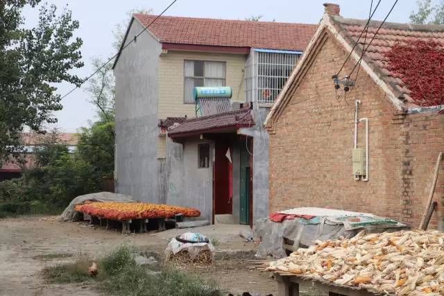 丰县首羡镇王大庄村:故乡的秋,对我而言是一种彻头彻