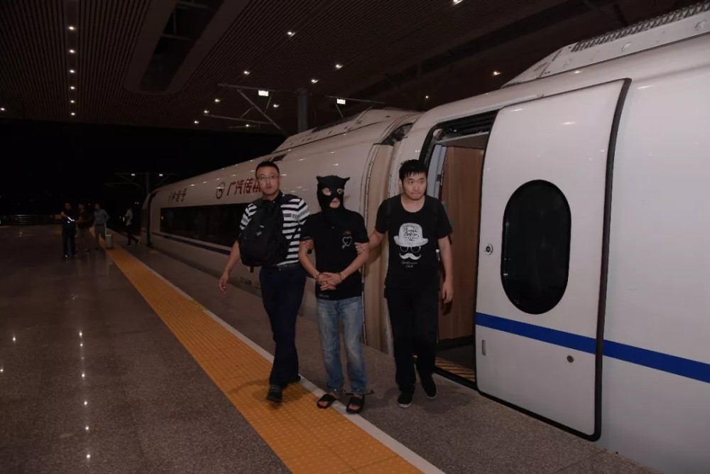 这些P2P案件有了新进展 健康猫、石头理财、