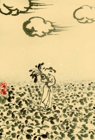 老树说立秋:谁说秋风总无情?